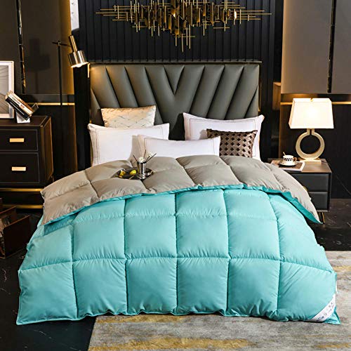 Cactuso edredon nordico Cama 150 Plumon,Abajo está Cubierto por Cama Doble Caliente Invierno con Aire Acondicionado-mi_220x240cm 2500g