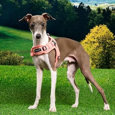 Puppia Kealoha Dog Harness X Fashionable Flower Pattern Spring Summer Harness for Small and Medium Dogs, Pink, Medium