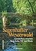 Produktbild Sagenhafter Westerwald: Geschichten zwischen Sieg, Lahn, Dill und Rhein