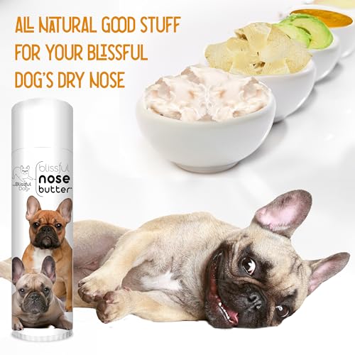 Image of The Blissful Dog Black Masked Fawn French Bulldog Unscented Nose Butter, 0.50-Ounce