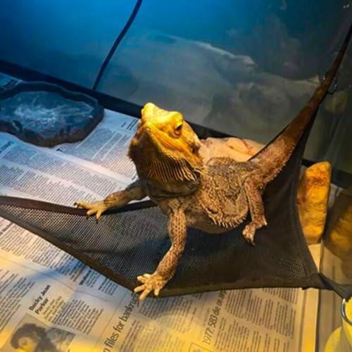 2 Pcs Bearded Dragon Lizard Hammock, Triangular, Breathable Mesh, Black, 13" x 13" x 19" — 사진 6