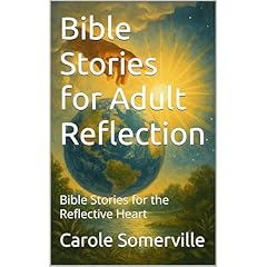 Bible Stories for Adult Reflection Audiolibro Por Carole Somerville arte de portada