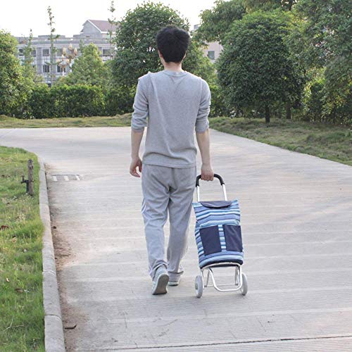 Shopping Trolley With Fold Down Seat & Cart, Mobility Aid Bag Grocery Basket Carrier Portable Wheels,A #TOP2