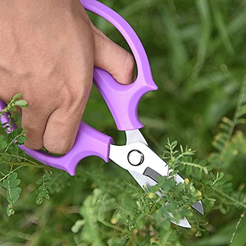 Büroschere, Bastelschere, Blumenschere, Edelstahl, Küchenschere, Gartenschere, Baumschere, Gartenschere, Astschere, Schneider, Blumenladenschere Scheren
