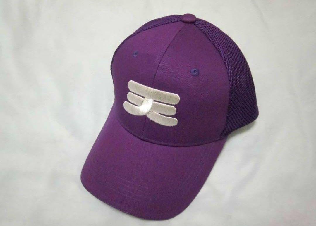 天理高校野球部帽子