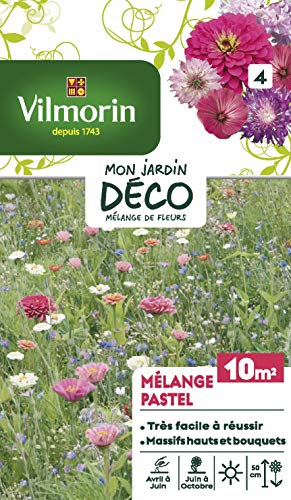 Vilmorin - Mélange de Fleurs Pastel - semences pour plantations - Fleurs Basses 50 cm annuelles pour 10 m²- du Pastel pour de la Douceur dans Votre Jardin