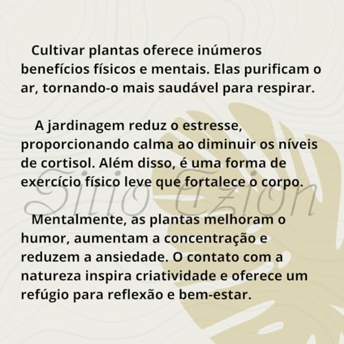 Kokedama Costela De Adão ou Monstera Delicosa Arranjo Natural