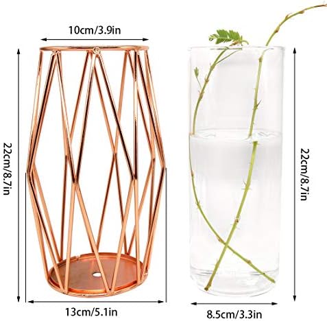 Geometric Glass Flower Vase Metal Holder, Crystal Clear Transparent Planter Flowers Vase,Handcrafted Plating Metal Vase,Clear Vase Decorative for Home Office Wedding Holiday Party Celebrate(22cm×13cm)