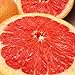 Kejora Fresh Ruby Red Grapefruit 4 LBS