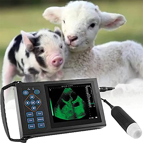 Máquina de ultrasonido veterinaria, escáner de diagnóstico de embarazo de granja de cría para ovejas y cerdos, equipo de diagnóstico HD multifunción a todo color Máquina de ultrasonido veterinaria, escáner de diagnóstico de embarazo de granja de cría para ovejas y cerdos, equipo de diagnóstico HD multifunción a todo color