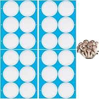 GORGECRAFT 24 Stück 4 Blatt Synthetische Filterpapieraufkleber 76mm Filterscheibe 0.3 μm Weite Öffnung Einmachglasfilter Patch Selbstklebender Klebebandaufkleber Für Pilzzuchtglasdeckel Einmachgläser