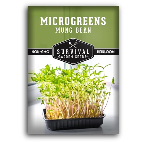 Mung Bean Seeds for Sprouting and Microgreens – High Protein Crunchy Sprout Seeds for Fresh Nutrition...