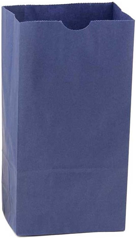 Hygloss Products Navy Blue Paper Bags – For Party Favors, Arts, Crafts 3 x 5 x 9.75 Inch, 100 Pack