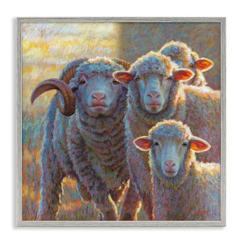 'Sunlit Sheep Family Farm Animals'| Framed Giclee Art
