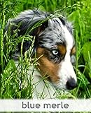 CreateSpace Independent Publishing Platform