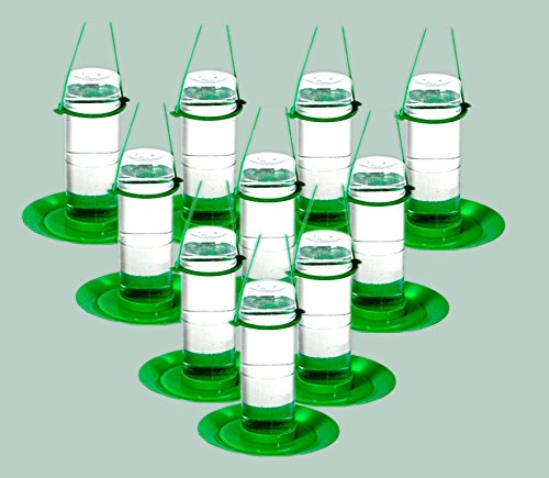Amijivdaya Medium Water Feeder (10 Pieces) (B07FXWL781) Amazon Price History, Amazon Price Tracker