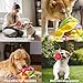 Dog Enrichment Toys Snuffle Ball Encourage Natural Foraging Skills,Slow Food Training to Relieve Boredom and Stimulating,Cloth Strip With Hidden Food Dog Puzzle Toys for Large Medium Small Dogs