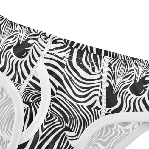 Boys' Exclusive Briefs Toddler Underwear 95% Combed Cotton Boxerbriefs 2T Zebra Stripes Pattern 364
