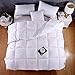 Luxury Bedding Comforter Duvet Insert White Goose Down All Season Warmth Quilted Comforter Blanket Twin Full Queen Size_Queen : 200 * 230cm,4KG