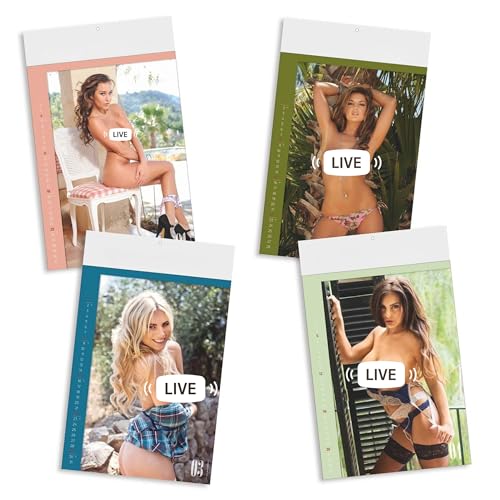 Erotik Kalender 2026 – Pin-up Girls Wandkalender DIN A3 (47,8 × 29,7 cm) | Farbdruck mit 12 Monatsmotiven, stabiler Kartonrückwand