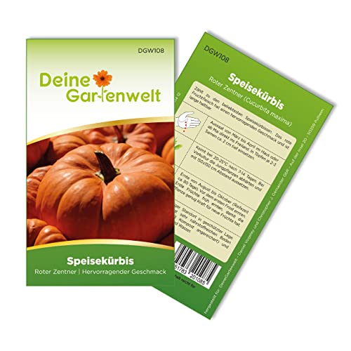Kürbis Roter Zentner Samen - Cucurbita maxima - Kürbissamen - Gemüsesamen - Saatgut für 8 Pflanzen