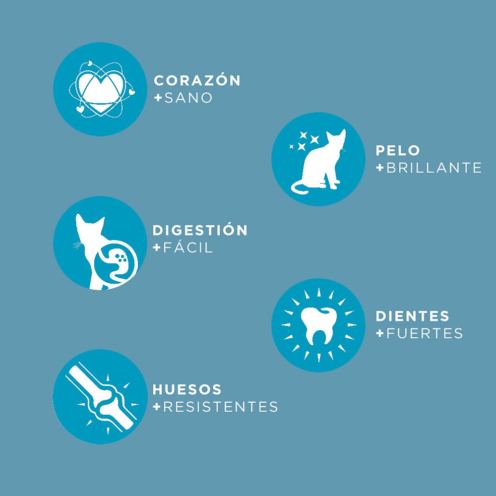Pienso para Gatos Adultos para Todas Las Razas y tamaños Rico en Pollo y Pescado Alimento seco para Gatos 20 kg Canun Cats Daily Maintenance