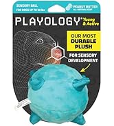 Playology Puppy Dog Ball for Sensory Development | Medium Sized Stuffed Chew Toy with Squeaker fo...