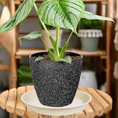 image for OVZILKI 6 Pack of Plant Saucer Tray 4 6 8 10 12 14 17 19 22 25 inch, H