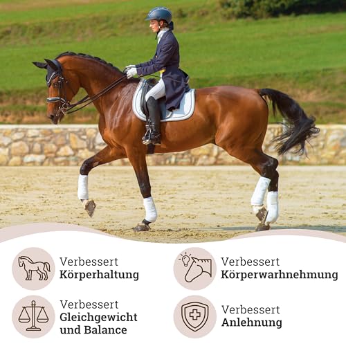 Esposita elastische Longierhilfe Pferd Pony Körperband Pferde Bodenarbeit Zubehör Longier Set Körperbandage Longiersystem Trainingssystem