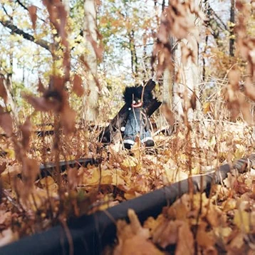 Born Alone - billy woods
