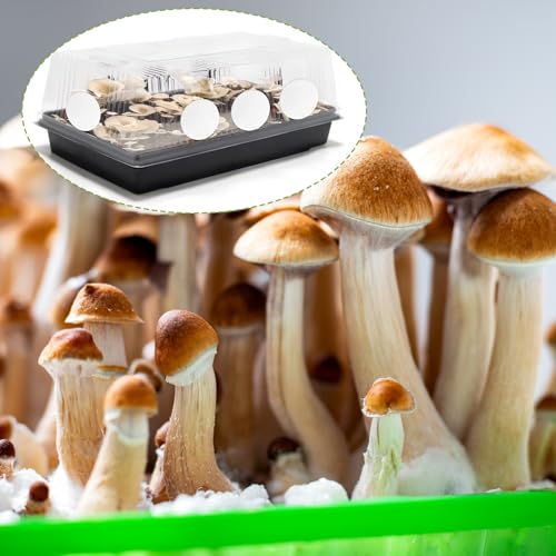 Image of SynHHergyx 24 Pcs Mushroom Monotub Filter Discs 2.5 inch Monotub Adhesive Filter Disks 2 MM Thick Filters Discs for Mushroom Growing Filters Pad Replacements