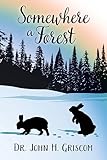 Somewhere a Forest