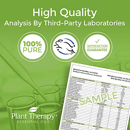 Plant Therapy Sweet Almond Oil - For Skin, Hair, Body, Face & Baby - Natural Moisturizer, Massage & Aromatherapy Carrier Oil 100% Pure, Cold Pressed California Almonds, Made In Usa, 1 Gallon #TOP6