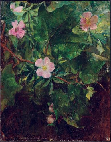 Tableaux graffiti art mural Wild Rose de John Lafarge impression premium