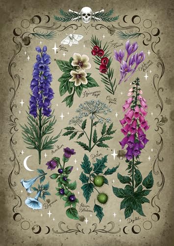 Puzzle 1000 piezas de plantas para tardes de relax en familia con Ravensburger