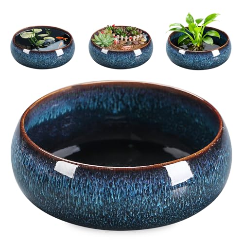 Lotus Bonsai, ciotola in ceramica, vaso per fiori in ceramica, vaso per piante grasse da 16,8 x 6,5 cm, vaso idroponico in ceramica, vaso per piante grasse per fiori pianta idroponica (blu)