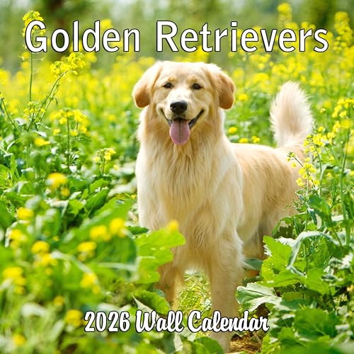 2026 Golden Retrievers Monthly Wall Calendar | Cute Dogs Calendar
