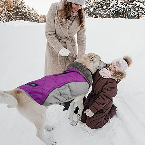 Fragralley Dog Winter Coat - Warm Dog Jacket Soft Fleece Lined For Cold Weather, Waterproof Windproof Purple Puppy Coat, Reflective Adjustable Pet Vest Apparel For Small Medium Large Dogs (S) #TOP3