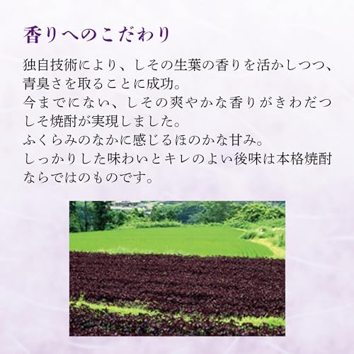 宝酒造 若紫ノ君 壜 しそ焼酎 20度 1800ml