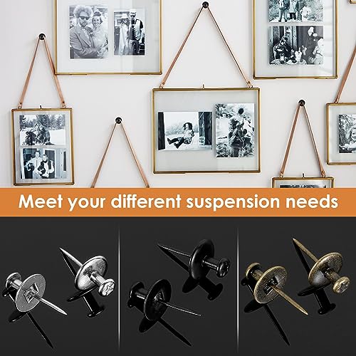 Image of 40Pcs Double Headed Picture Hangers, Wall Pins for Hanging, Stainless Steel Small Head Hanging Nails, Sturdy Photo Push Nails Set, Metal Wall Hanging Hook Pins for Hanging Picture Photo Clock
