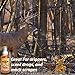 BuckMaxx Deer Attractant, Calming Deer Scent, Deer Attractants for Whitetail Deer, Mixture of Synthetic Deer Urine, Gland, and Other Deer Scents, Deer Scents and Attractants (Calming Scent X2)