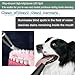 SMILEHEVEN Dog Plaque Tartar Remover Pet Ultrasonic Cleaner Cat Tooth Cleaning for Cat Dog Dental Care