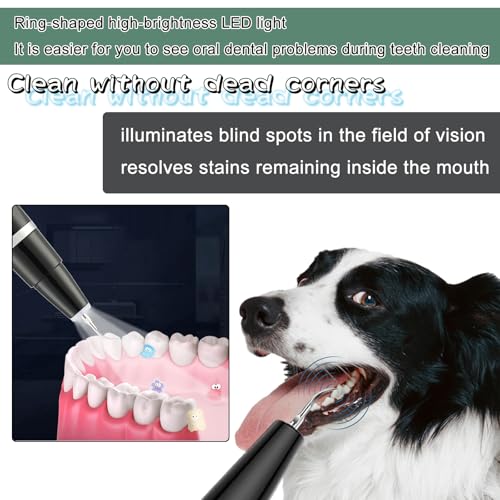 Image of Dog Plaque Tartar Remover Pet Ultrasonic Cleaner Cat Tooth Cleaning for Cat Dog Dental Care