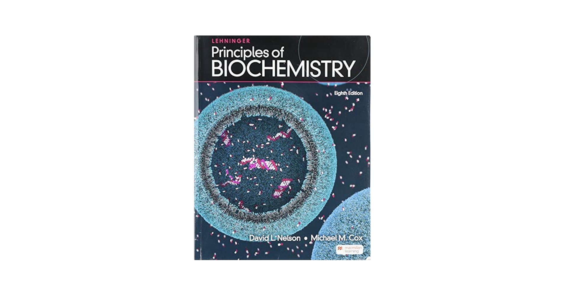 語学+参考書 Lehninger Principles of Biochemistry: International Edition Amazon | Lehninger Principles of Biochemistry: International