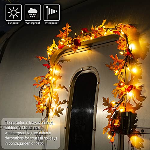 Thanksgiving-Decorations-Maple-Leaf-String-Lights-Plug-in-120V-Fall-Leaves-Garland-With-Lights-35-Bulbs-Lighted-for-Halloween-Outdoor-Thanksgiving-Decor Thanksgiving Decorations Maple Leaf String Lights Plug in 120V Fall Leaves Garland With Lights 35 Bulbs Lighted for Halloween Outdoor Thanksgiving Decor