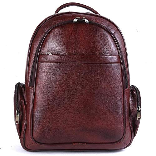 LINDSEY STREET Leather Laptop Backpack For Men And Women | Casual Leather Backpack | Office Backpack | Backpack for Travel | College Bag School Bag (Brown) (B0C37L9LDG) Amazon Price History, Amazon Price Tracker