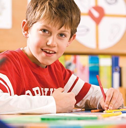 STAEDTLER ergosoft Colouring Pencil Light Grey - Pack of 12 pkg of 12 Standard Packaging Grey