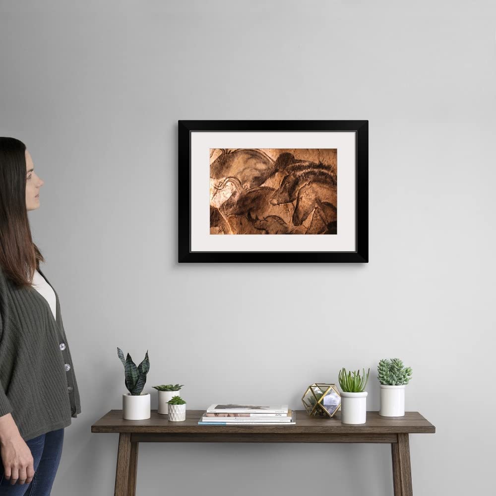 Amazon.com: GREATBIGCANVAS Stone-Age cave Paintings, Chauvet