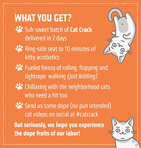 Cat Crack Organic Catnip, 100% Natural Cat Nips Organic Blend That Energizes And Excites Cats, Safe Catnip Treats Used For Cat Play, Cat Training, & New Organic Catnip Toys For Cats(1 Cup Organic) #TOP4