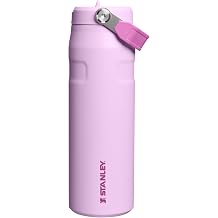 STANLEY IceFlow Flip Straw 2.0 Bottle, 24 oz, Soft Orchid